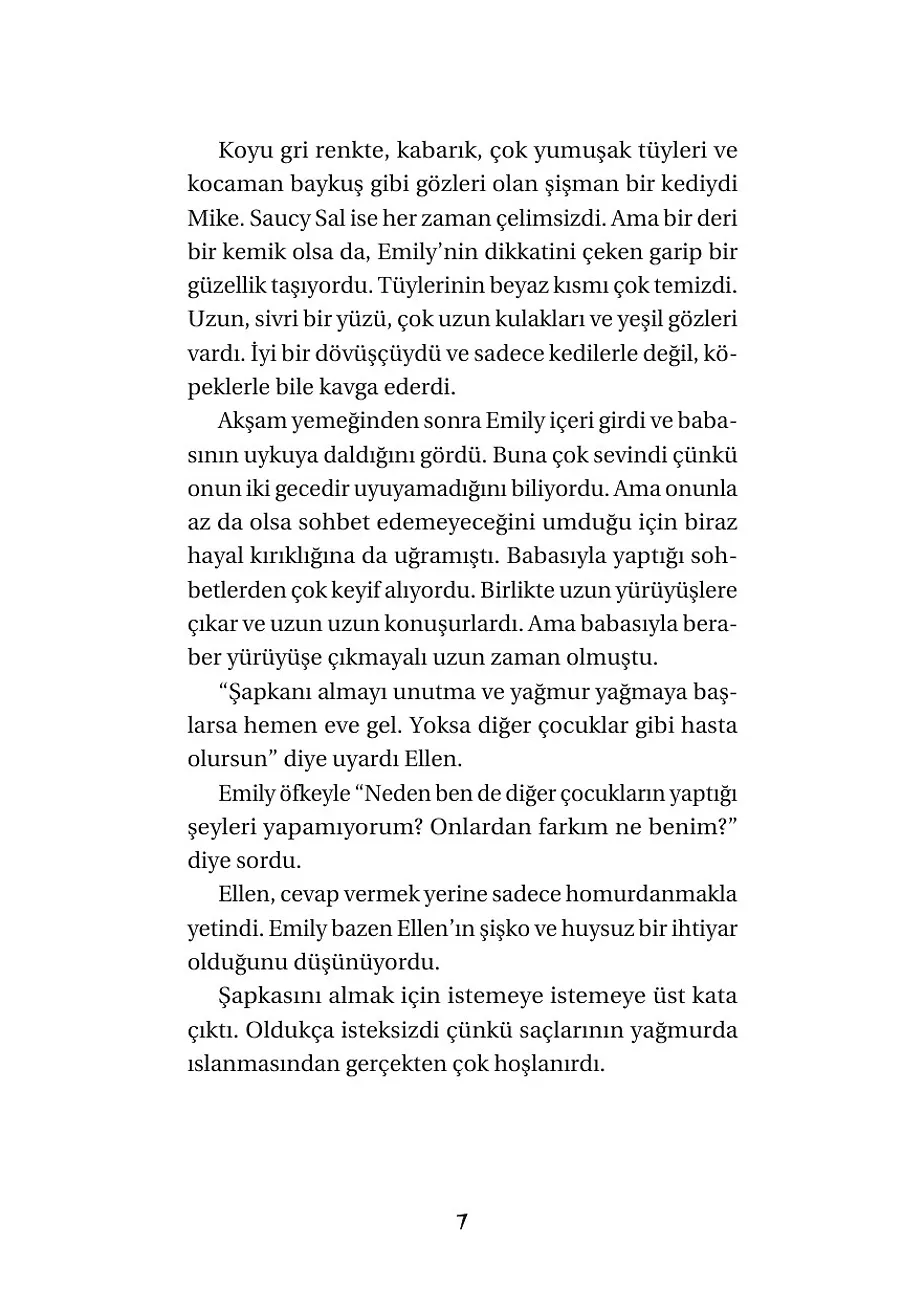 Yeni Ay - Mavinin Kızı Emily 1 – Sayfa 5