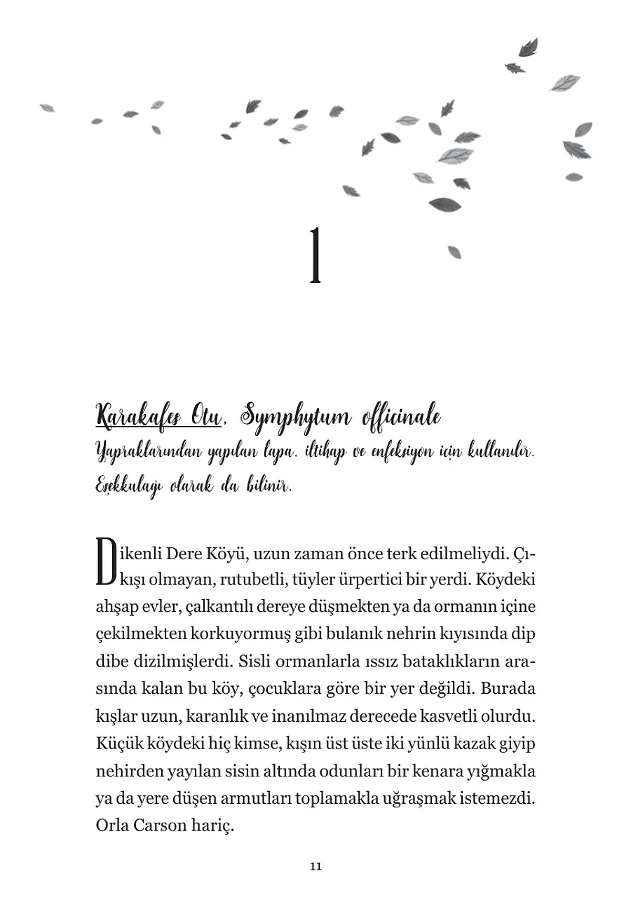 Yaprakların Haritası – Sayfa 1