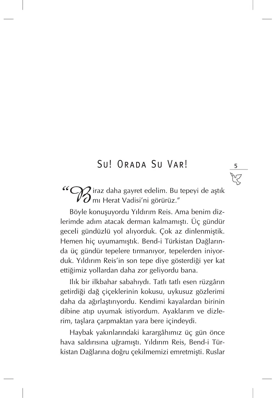 Yaralı Serçe – Sayfa 2