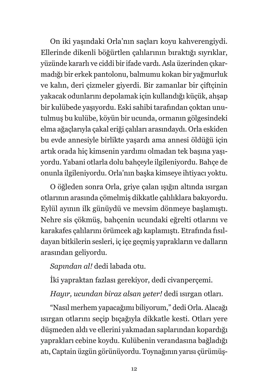 Yaprakların Haritası – Sayfa 2
