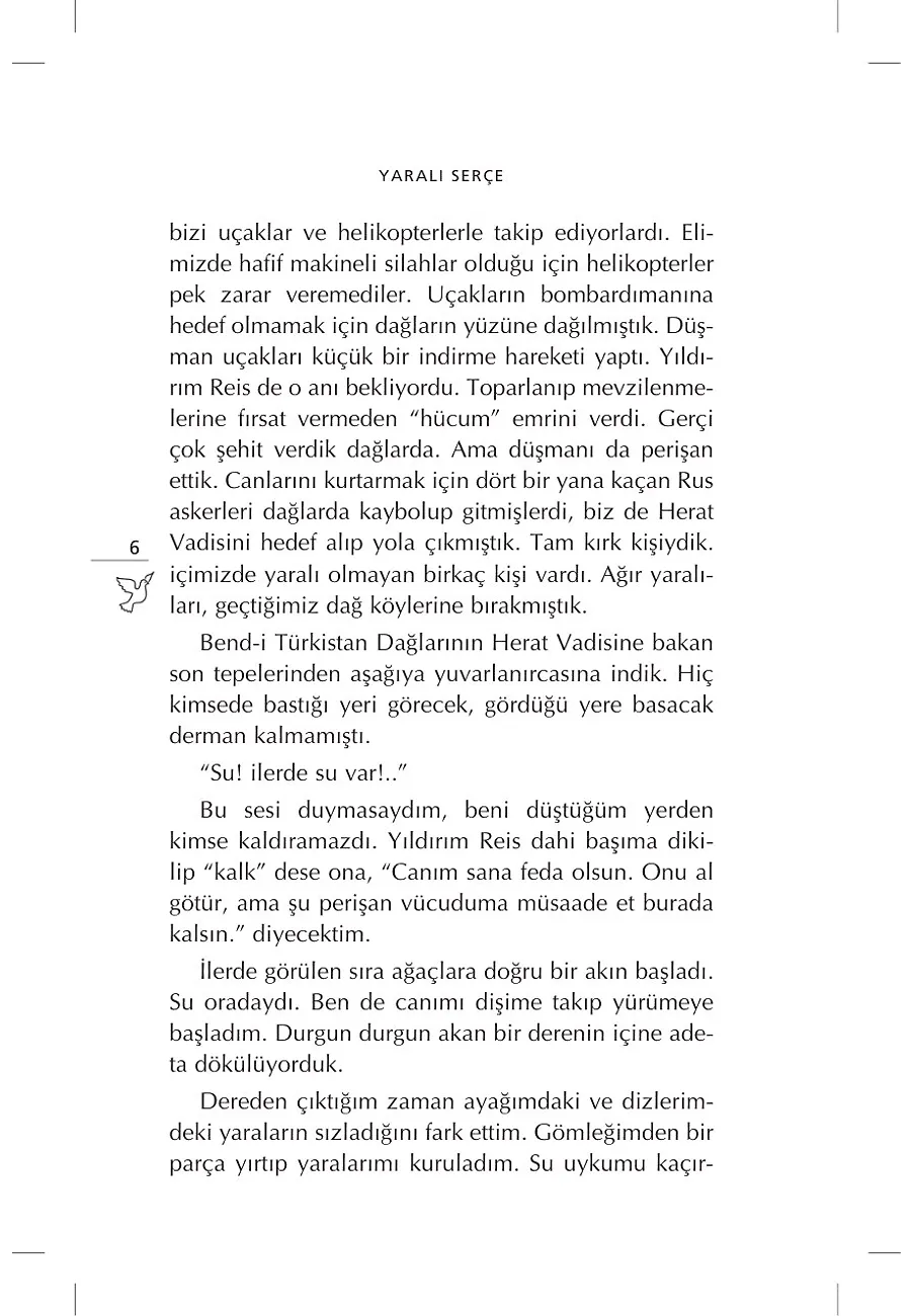 Yaralı Serçe – Sayfa 3