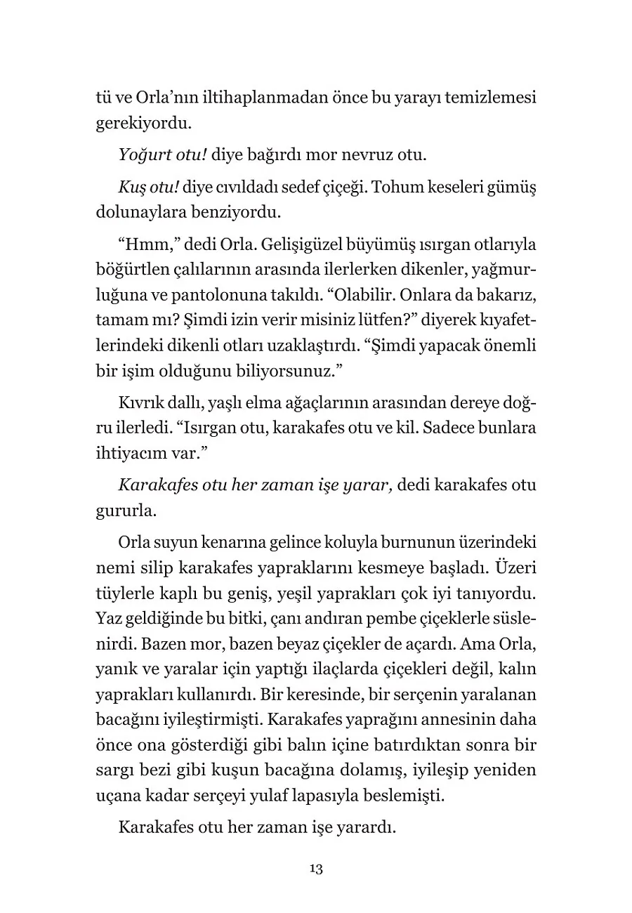 Yaprakların Haritası – Sayfa 3