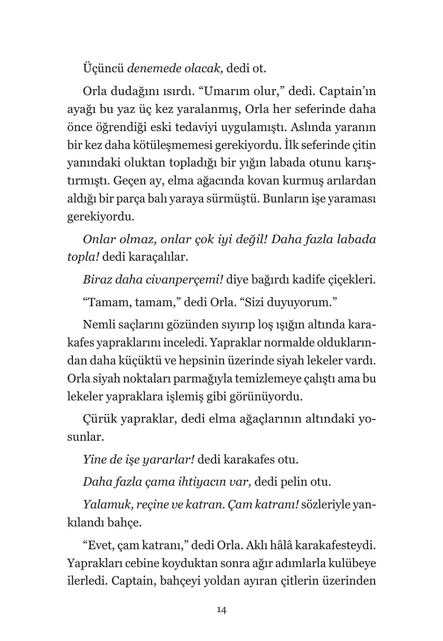 Yaprakların Haritası – Sayfa 4