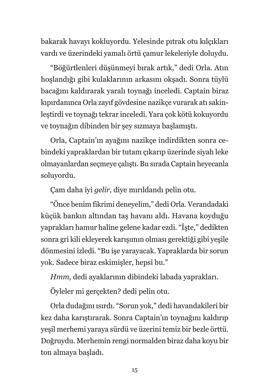 Yaprakların Haritası – Sayfa 5