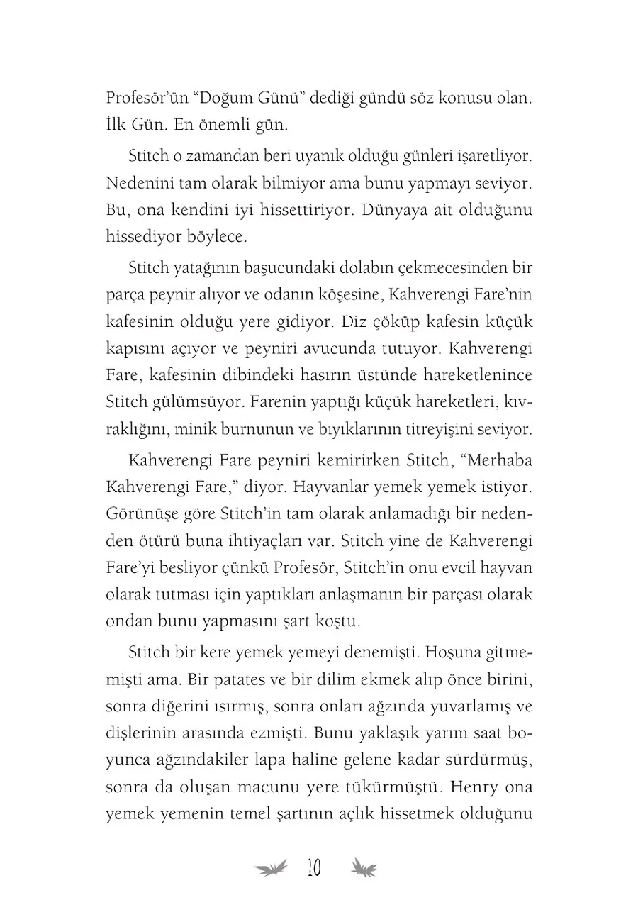 Yama Çocuk Stitch – Sayfa 2