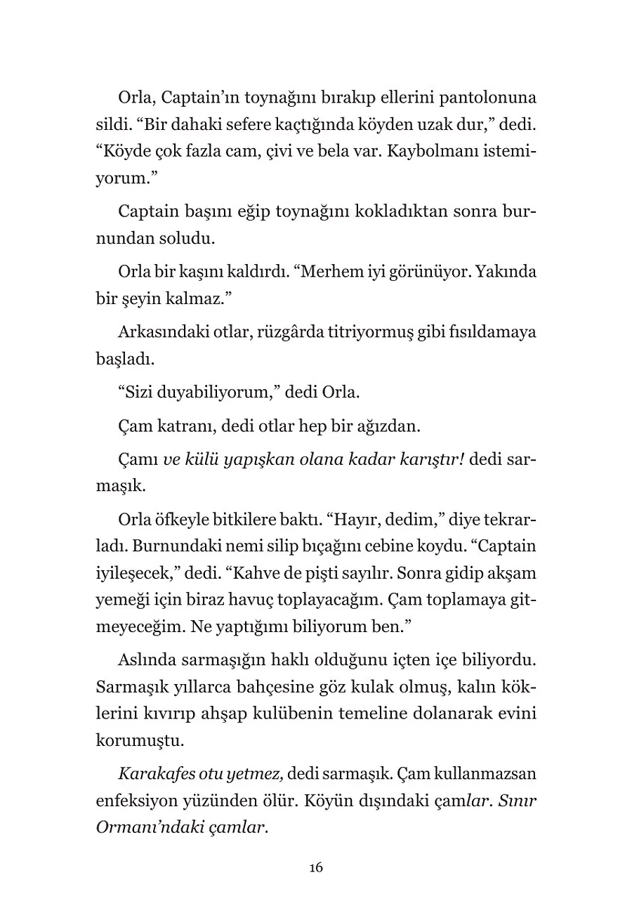 Yaprakların Haritası – Sayfa 6