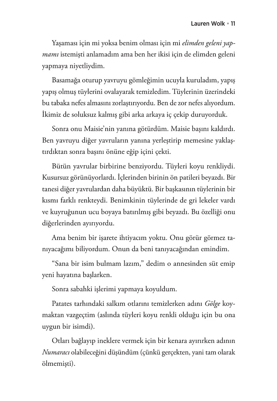 Yankı Dağı – Sayfa 5