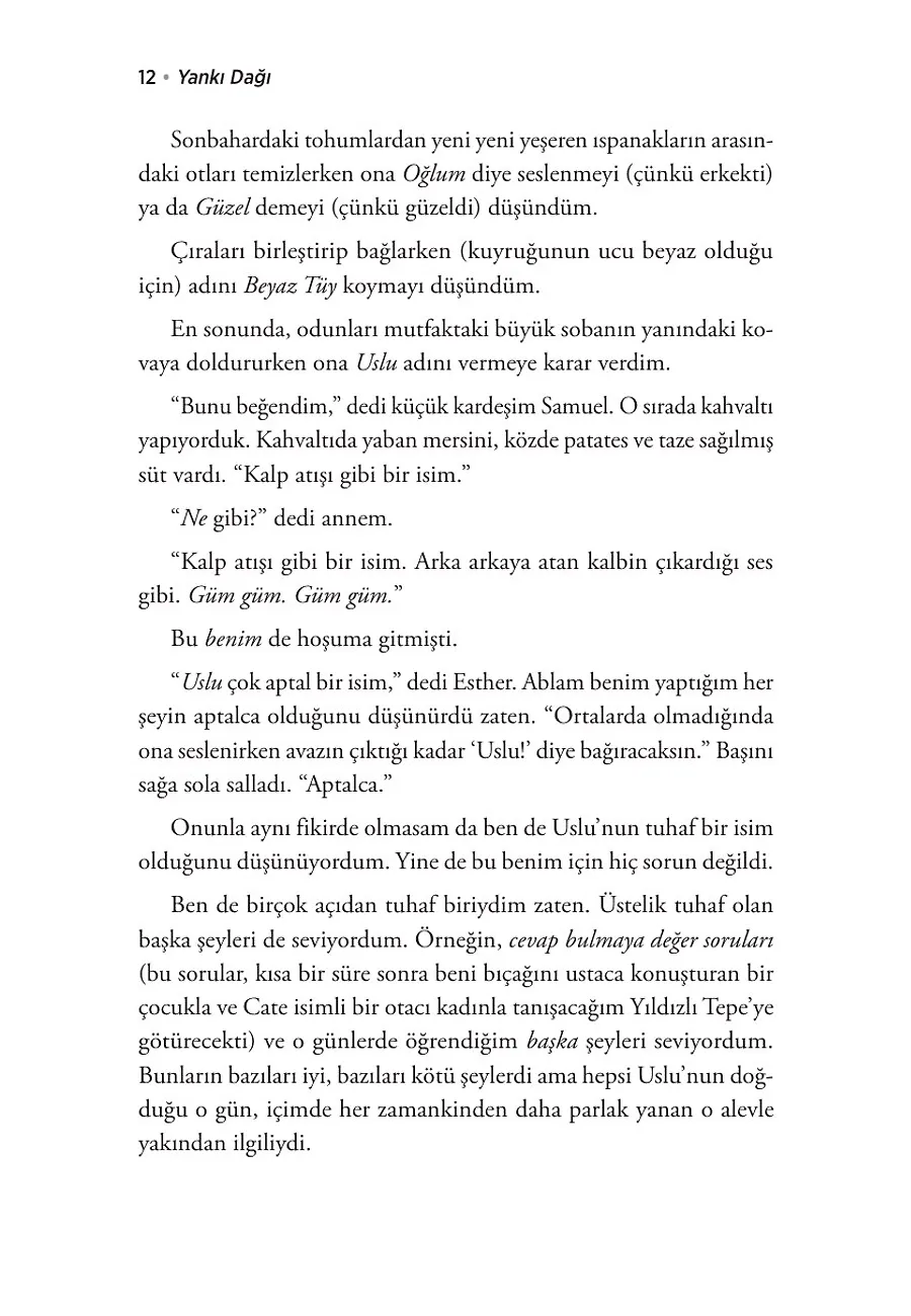 Yankı Dağı – Sayfa 6
