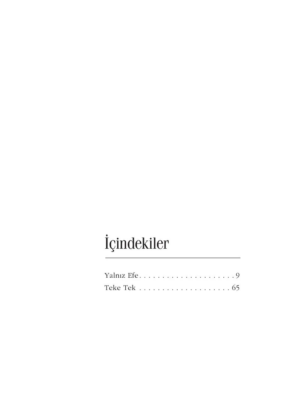 Yalnız Efe - Ömer Seyfettin Dizisi – Sayfa 5