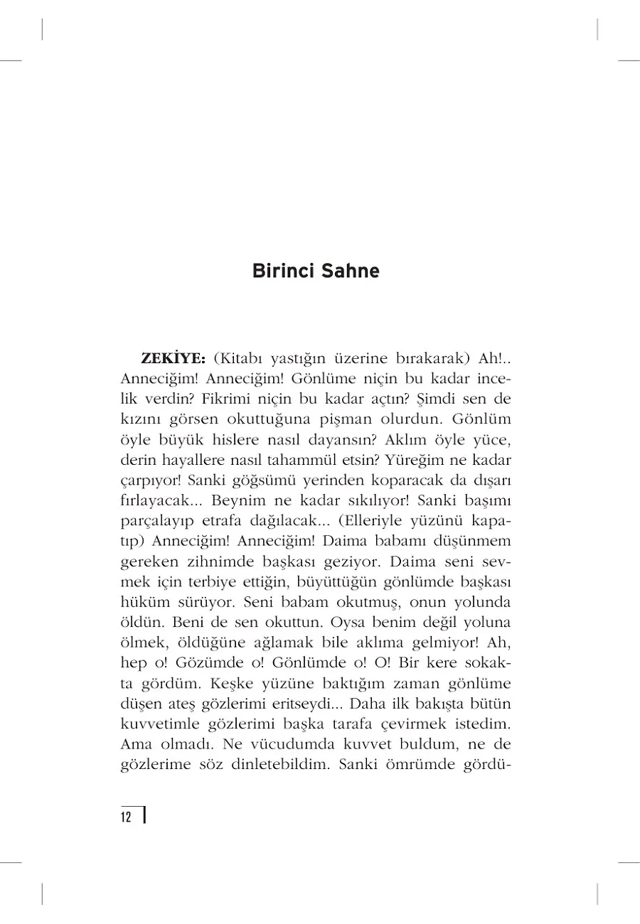 Vatan Yahut Silistre (Gençlik Klasikleri) – Sayfa 2