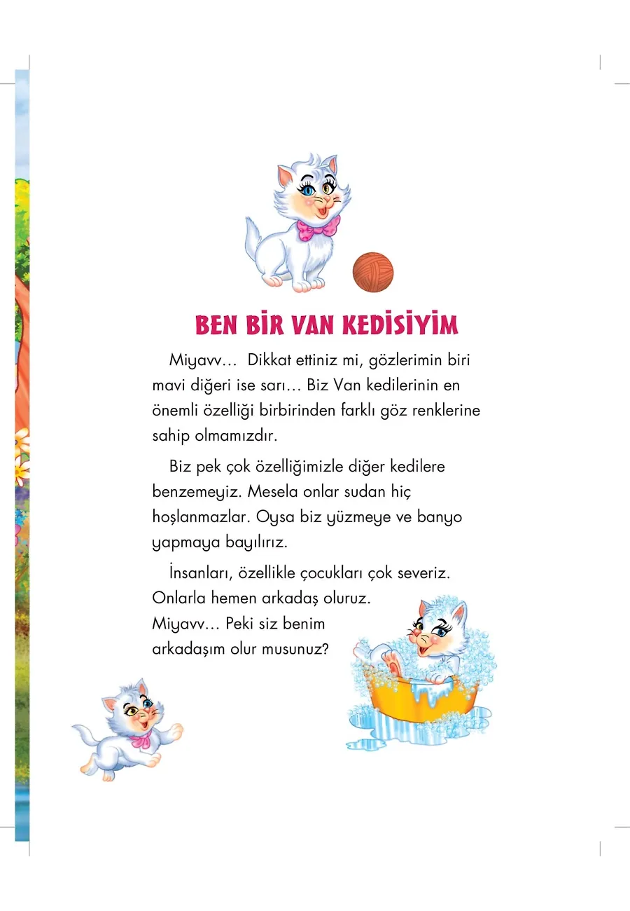 Van Kedisi Kartopu Allah'ın Semi İsmini Öğreniyor - Allah'ın İsimlerini Öğreniyorum 2 – Sayfa 2