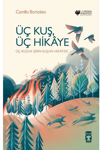Üç Kuş, Üç Hikaye