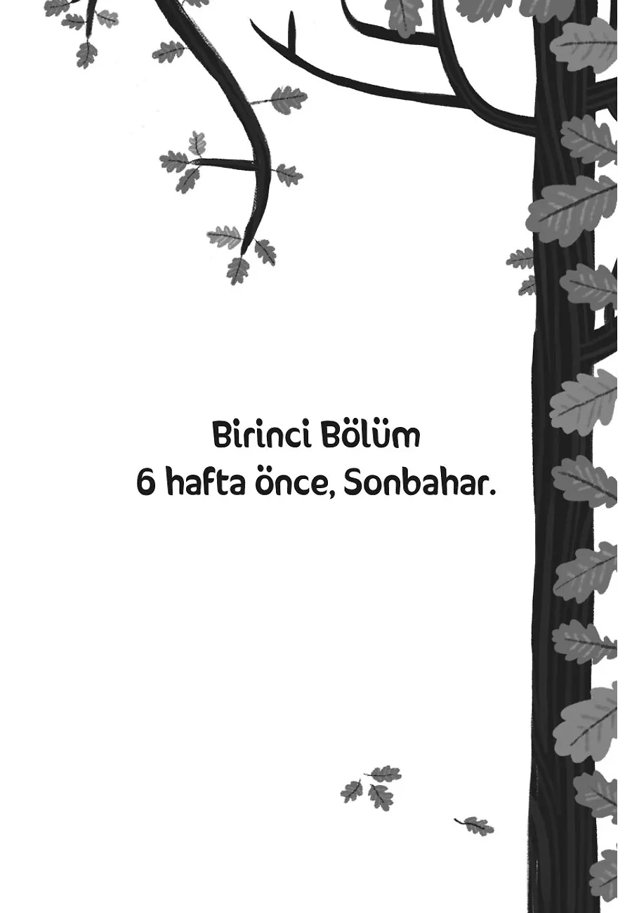 Vahşi Doğanın Kalbinde – Sayfa 4