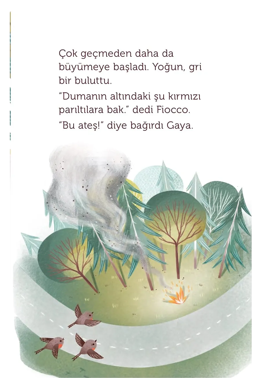 Üç Kuş, Üç Hikaye – Sayfa 5