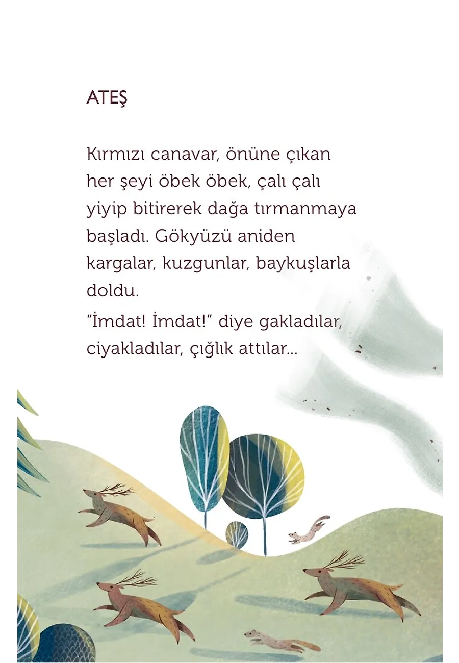 Üç Kuş, Üç Hikaye – Sayfa 6