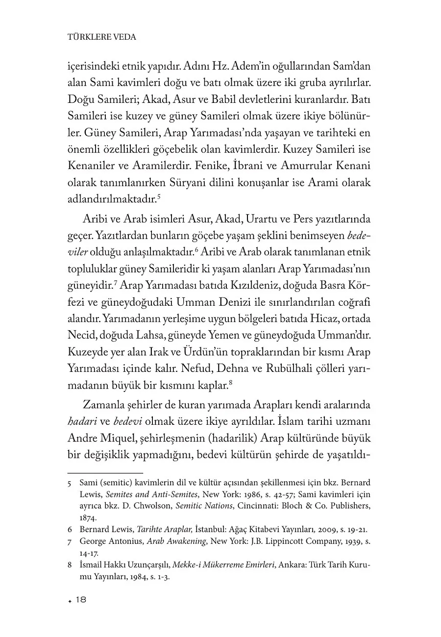 Türklere Veda – Sayfa 4