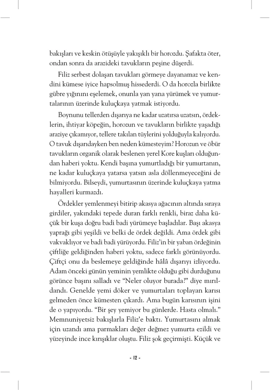 Uçabileceğini Hayal Eden Tavuk – Sayfa 6
