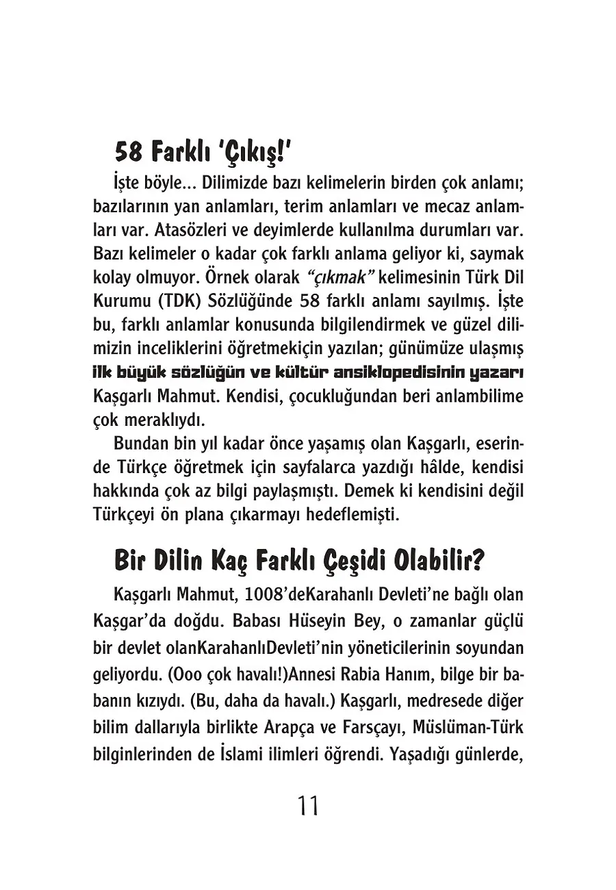 Türkçenin Ustaları Ve Çılgın Yöntemleri – Sayfa 5