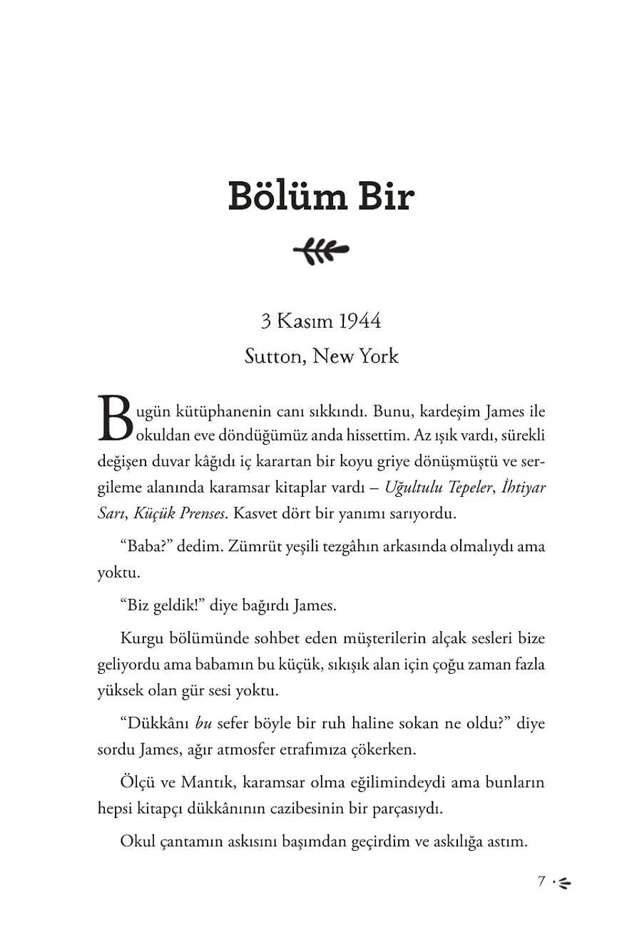 Toz Ve Hayaller Kitapçısı – Sayfa 1
