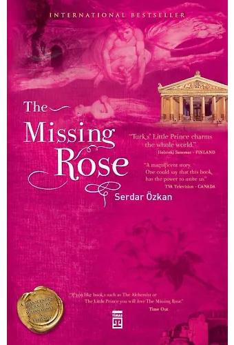 The Missing Rose