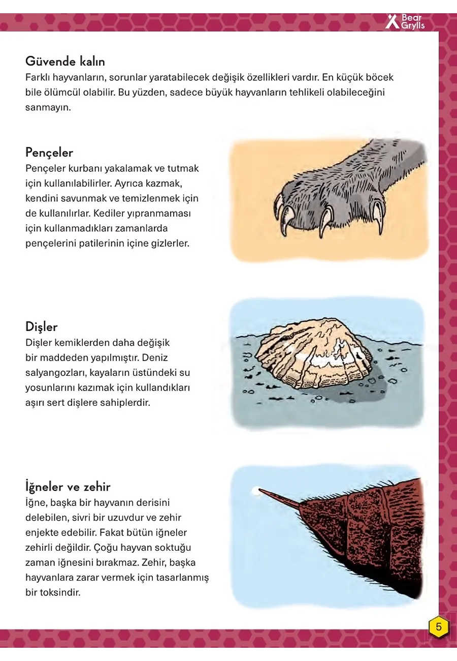 Tehlikeli Hayvanlar - Hayatta Kalma Becerileri El Kitabı 1 – Sayfa 2