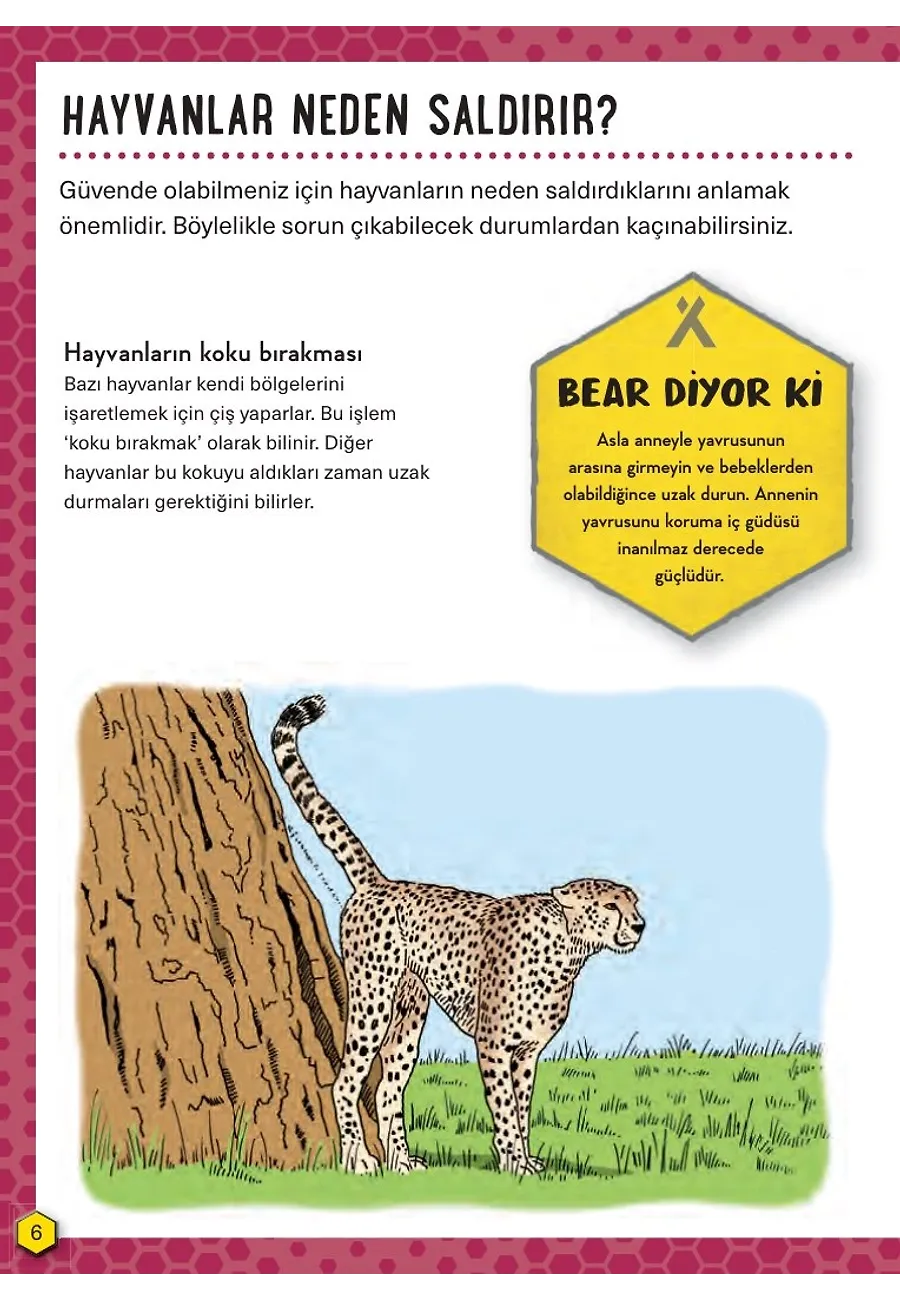 Tehlikeli Hayvanlar - Hayatta Kalma Becerileri El Kitabı 1 – Sayfa 3
