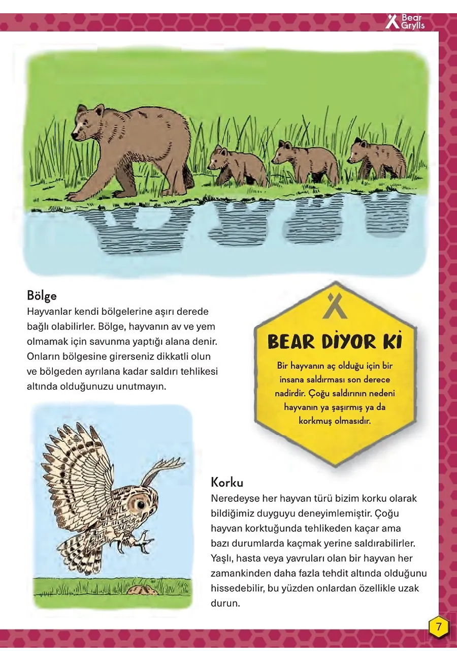 Tehlikeli Hayvanlar - Hayatta Kalma Becerileri El Kitabı 1 – Sayfa 4