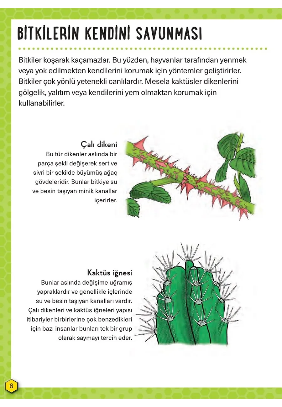 Tehlikeli Bitkiler - Hayatta Kalma Becerileri El Kitabı 2 – Sayfa 3