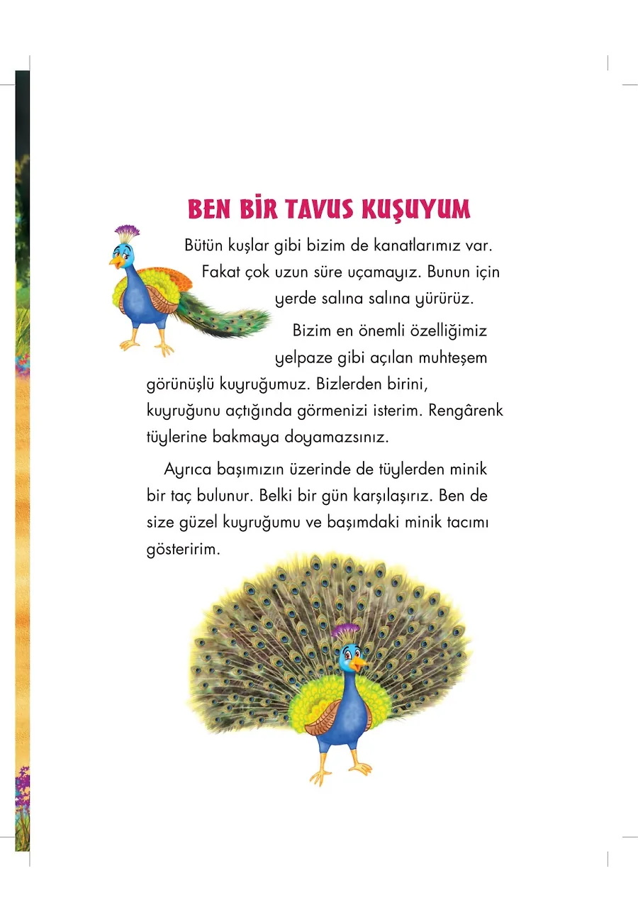 Tavuskuşu Maviş Allah'ın Cemil İsmini Öğreniyor - Allah'ın İsimlerini Öğreniyorum 2 – Sayfa 2
