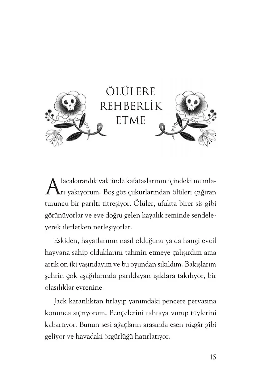 Tavuk Bacaklı Ev – Sayfa 5