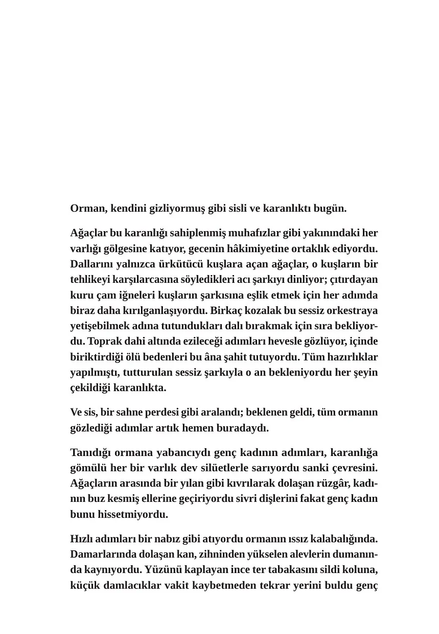 Tan Yeri I - Zifir – Sayfa 4