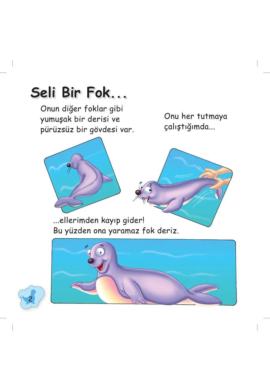Şirin Foklar İle Tanışalım - Sevimli Hayvanlar – Sayfa 1