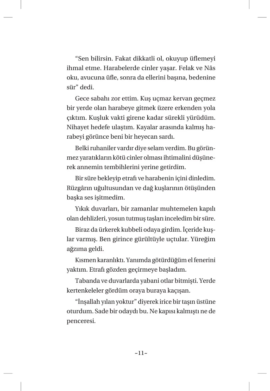 Şiraz Ve Şehzade – Sayfa 6