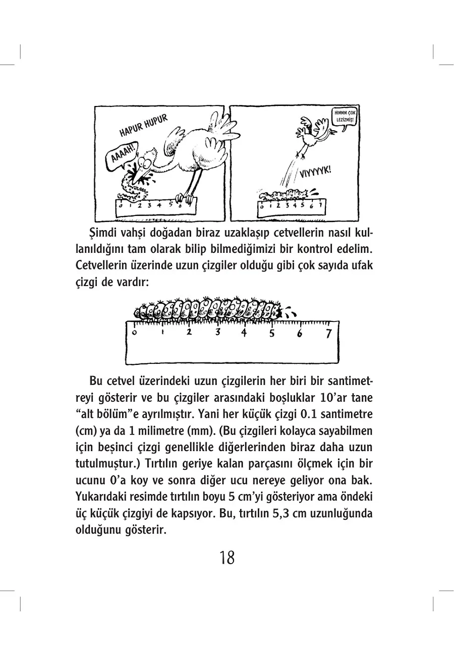 Şaşmaz Ölçüler – Sayfa 3