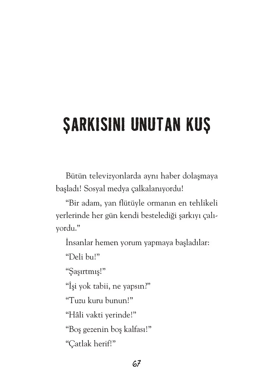 Şarkısını Unutan Kuş – Sayfa 2
