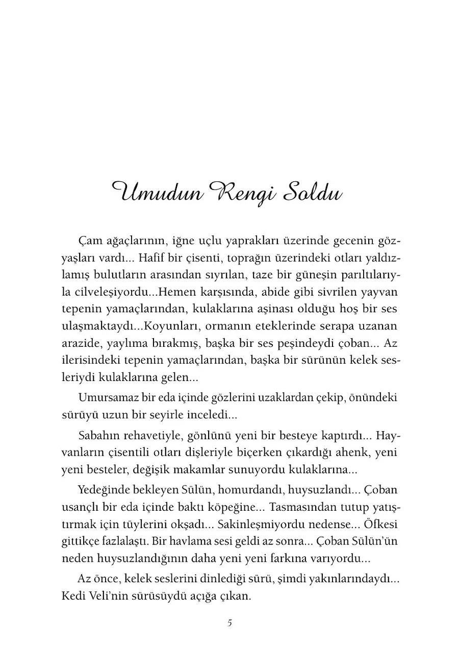 Sular Durulursa – Sayfa 2