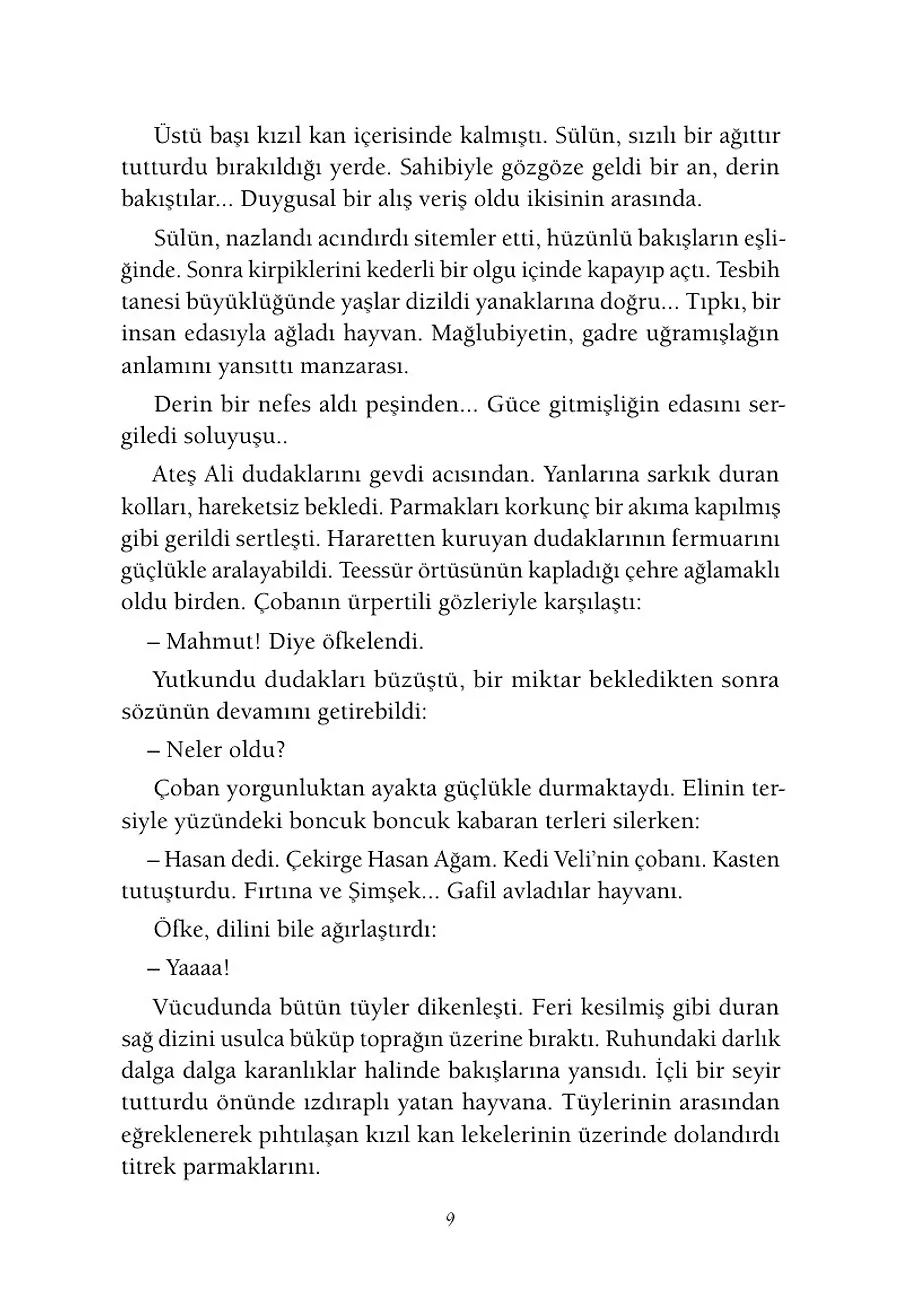 Sular Durulursa – Sayfa 6