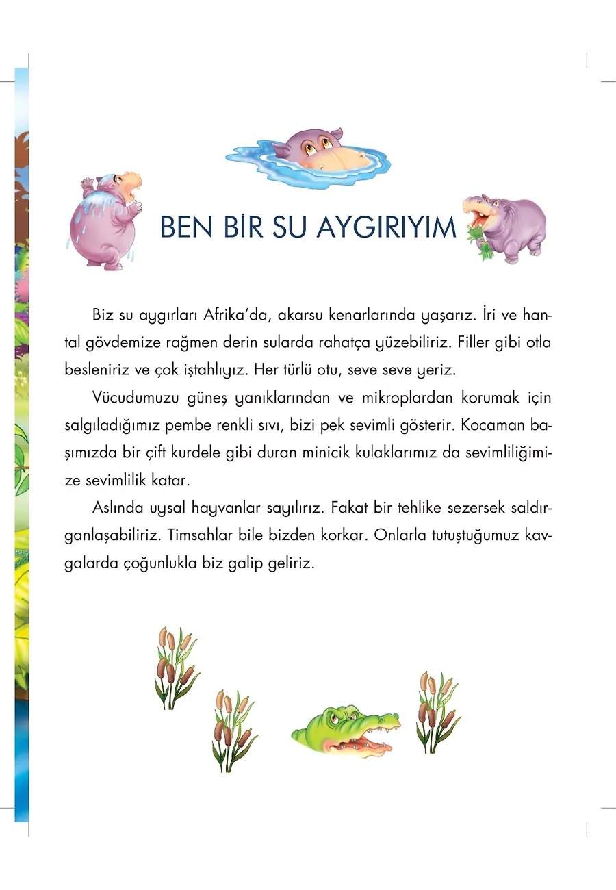 Su Aygırı Hipos Allah'ın Rezzak İsmini Öğreniyor - Allah'ın İsimlerini Öğreniyorum 1 – Sayfa 2