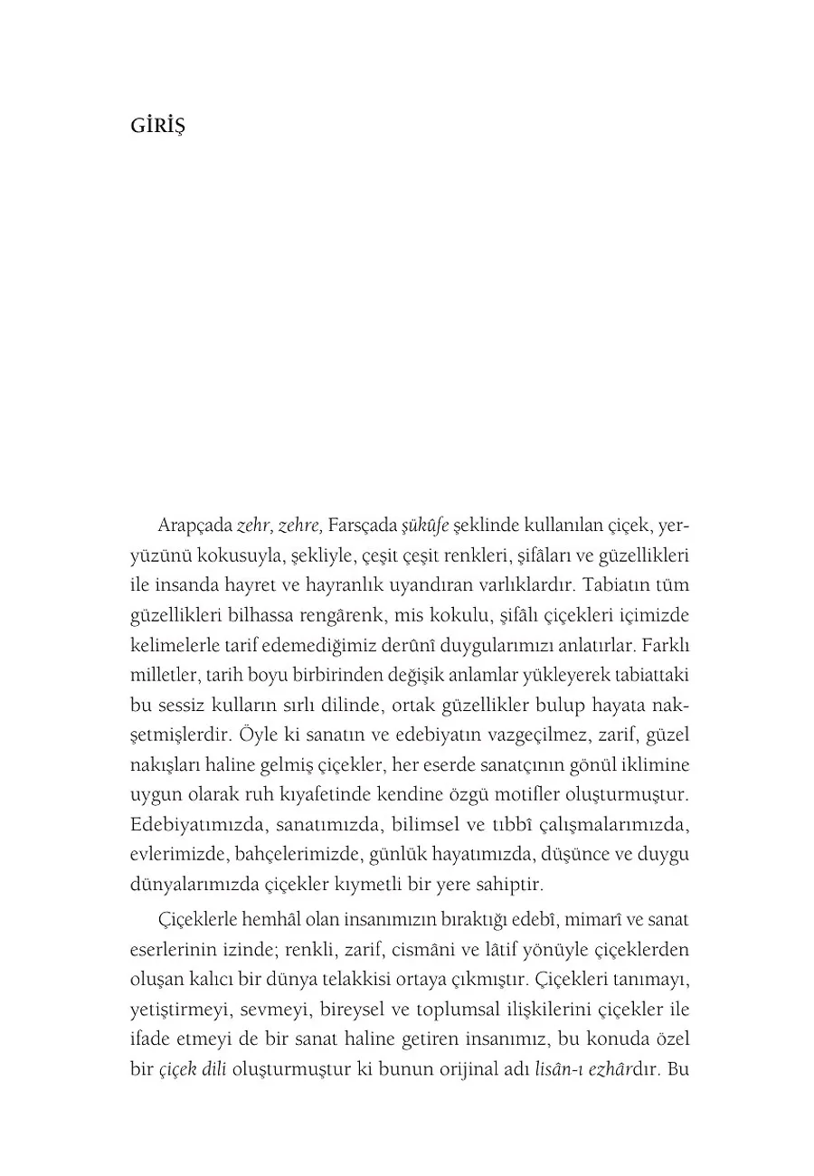 Sordum Sarı Çiçeğe – Sayfa 5