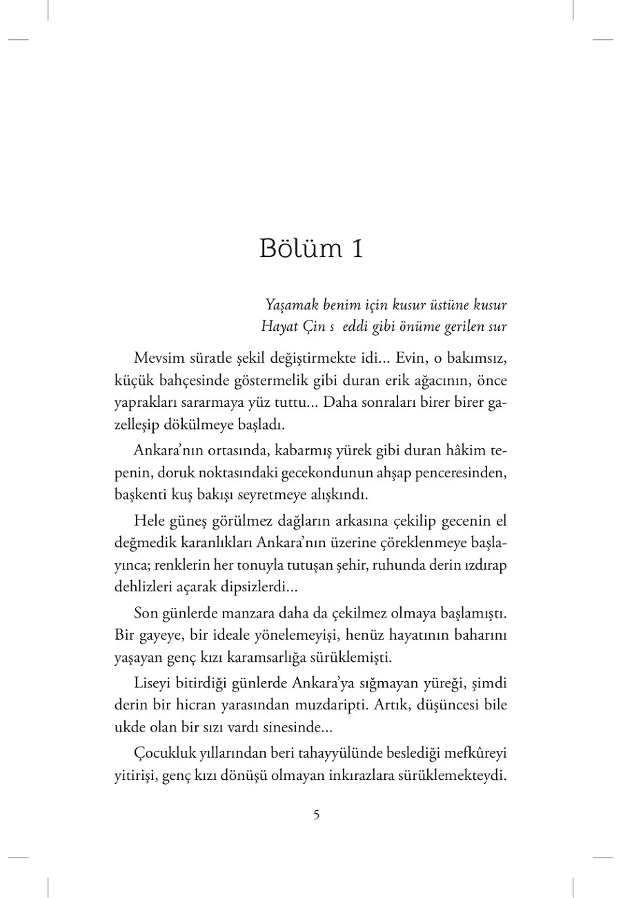Sokağa Açılan Kapı – Sayfa 1