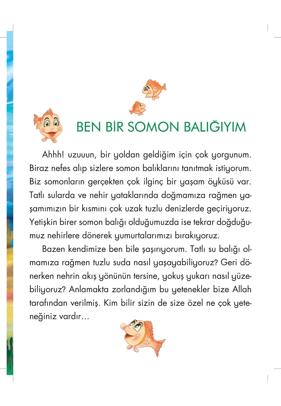 Somon Simsim Allah'ın Selam İsmini Öğreniyor - Allah'ın İsimlerini Öğreniyorum 1 – Sayfa 2