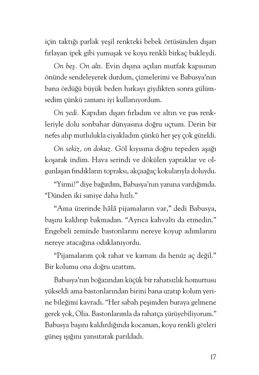 Sihirli Diyarlar Kalesi – Sayfa 3