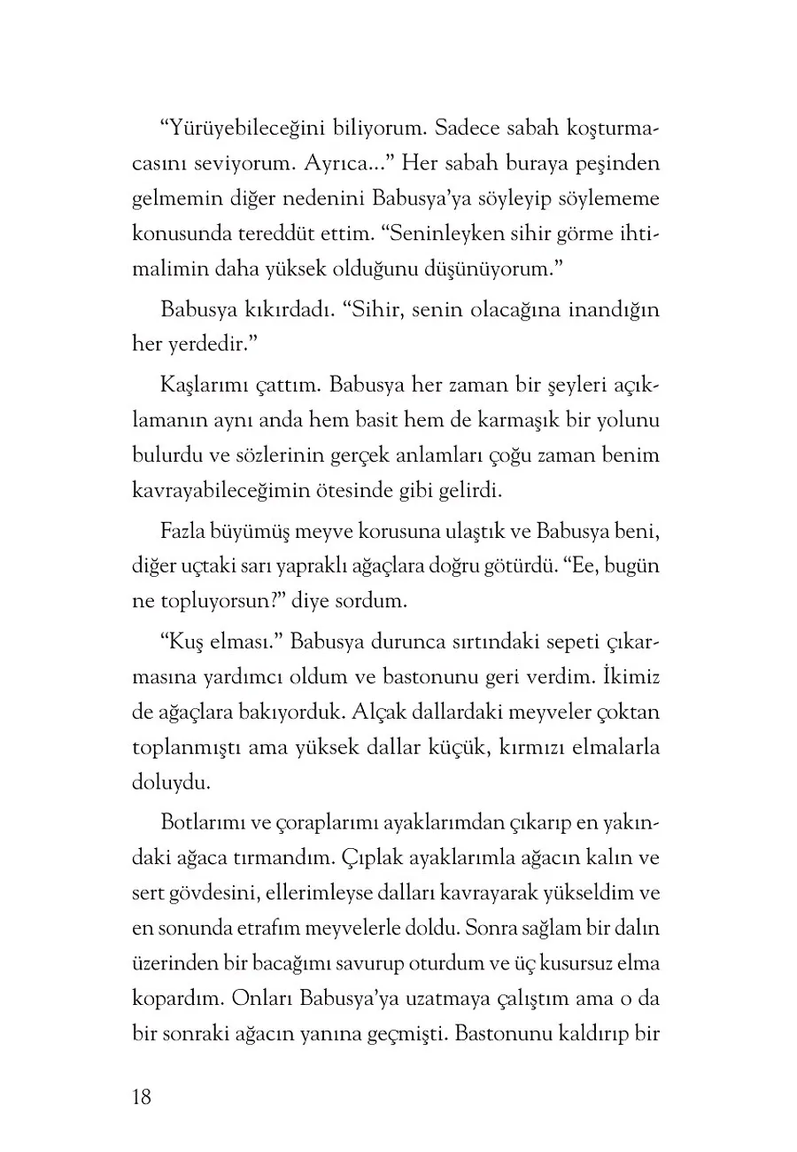 Sihirli Diyarlar Kalesi – Sayfa 4