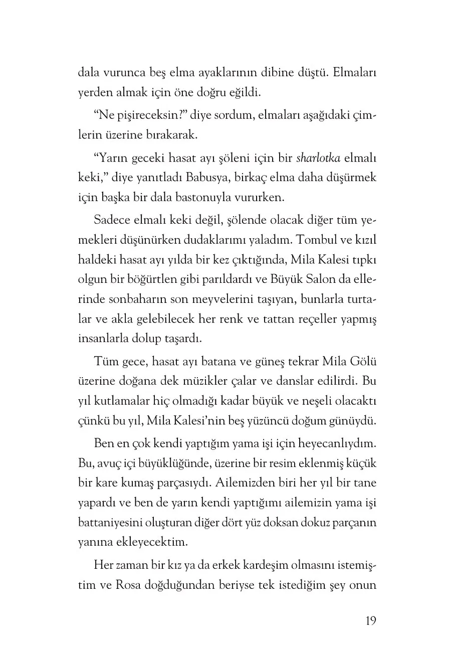 Sihirli Diyarlar Kalesi – Sayfa 5