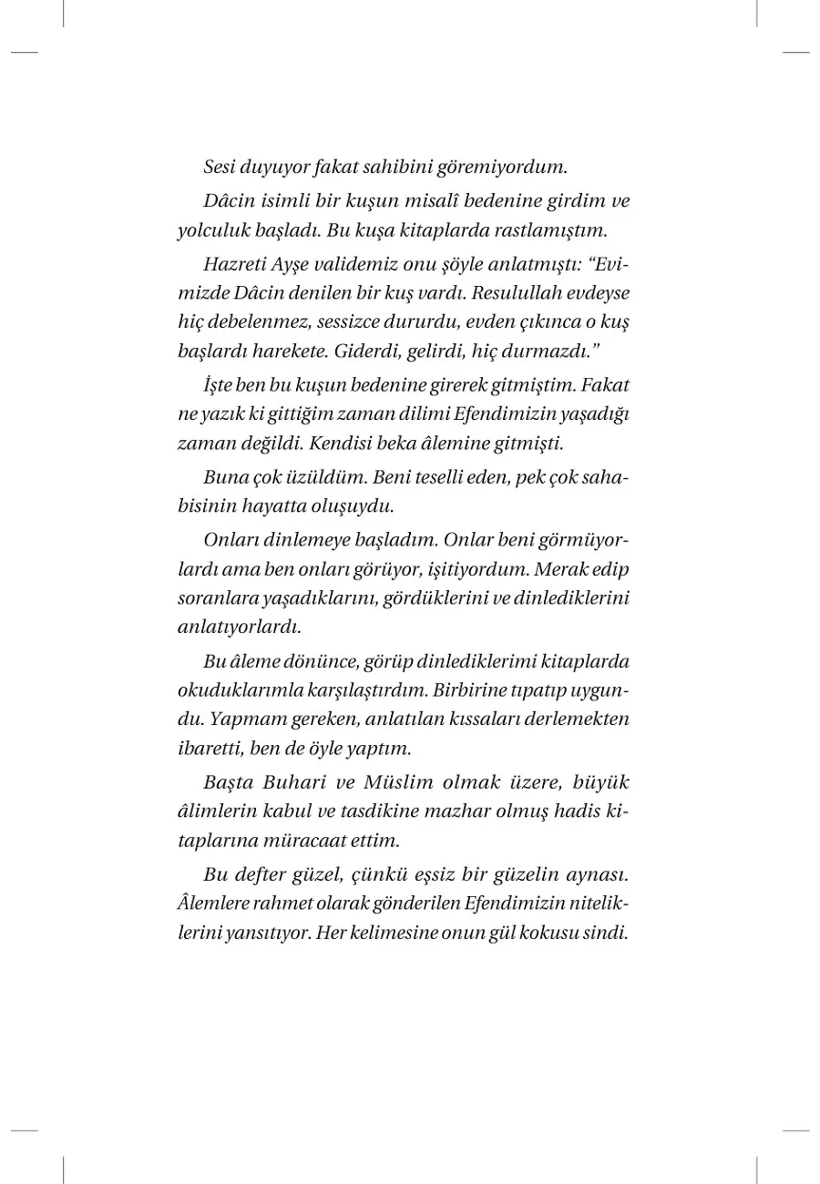 Sırlar Mağarası – Sayfa 4