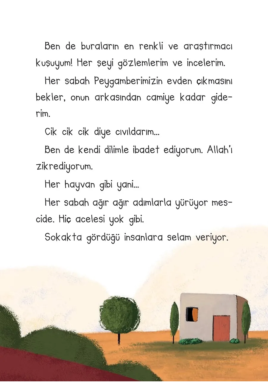 Sevimli Hayvanlar Peygamberimi Anlatıyor – Sayfa 3