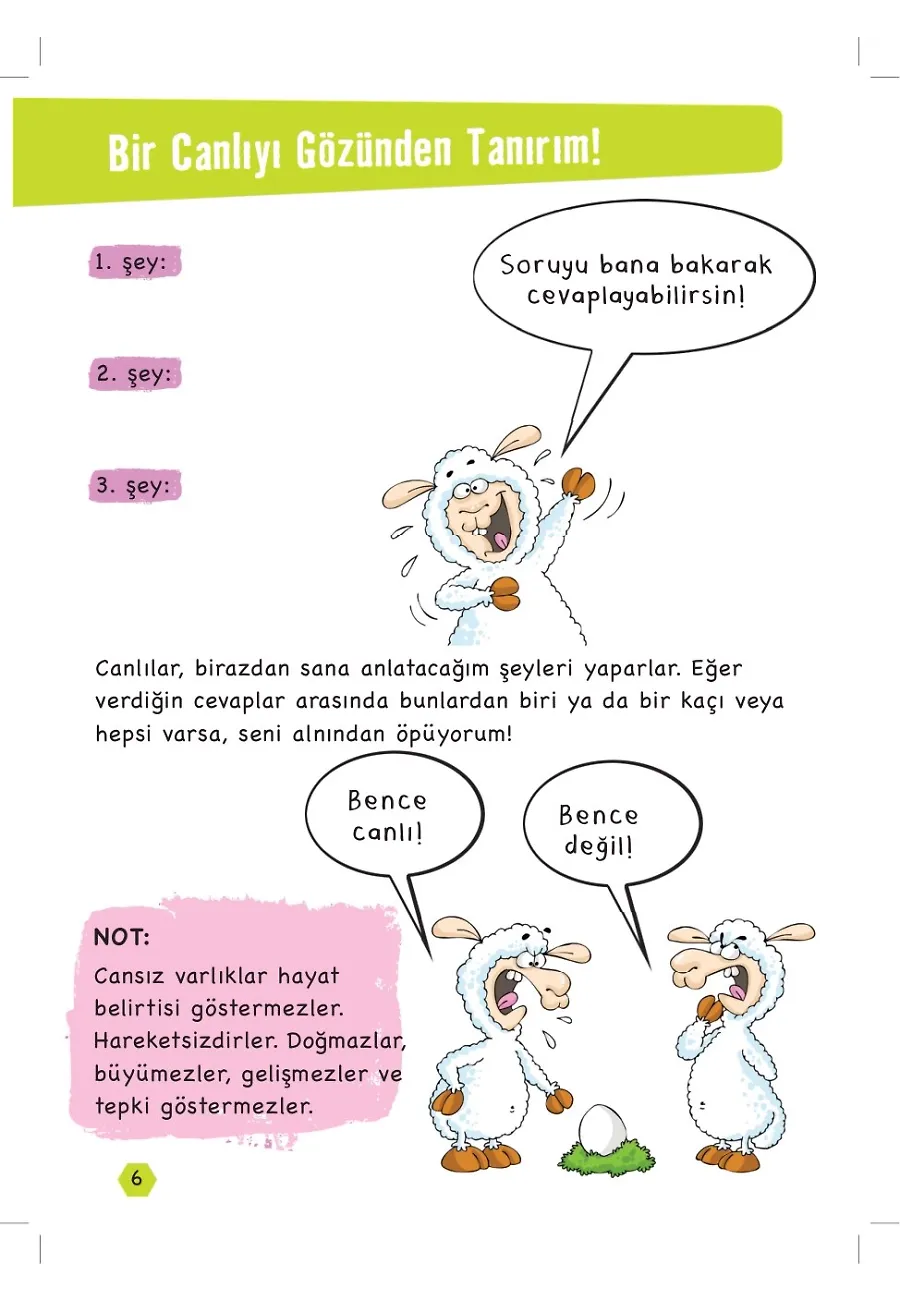 Ses Ve Işık Bir Gün Yarışmaya Karar Verseler - Popüler Fen – Sayfa 2
