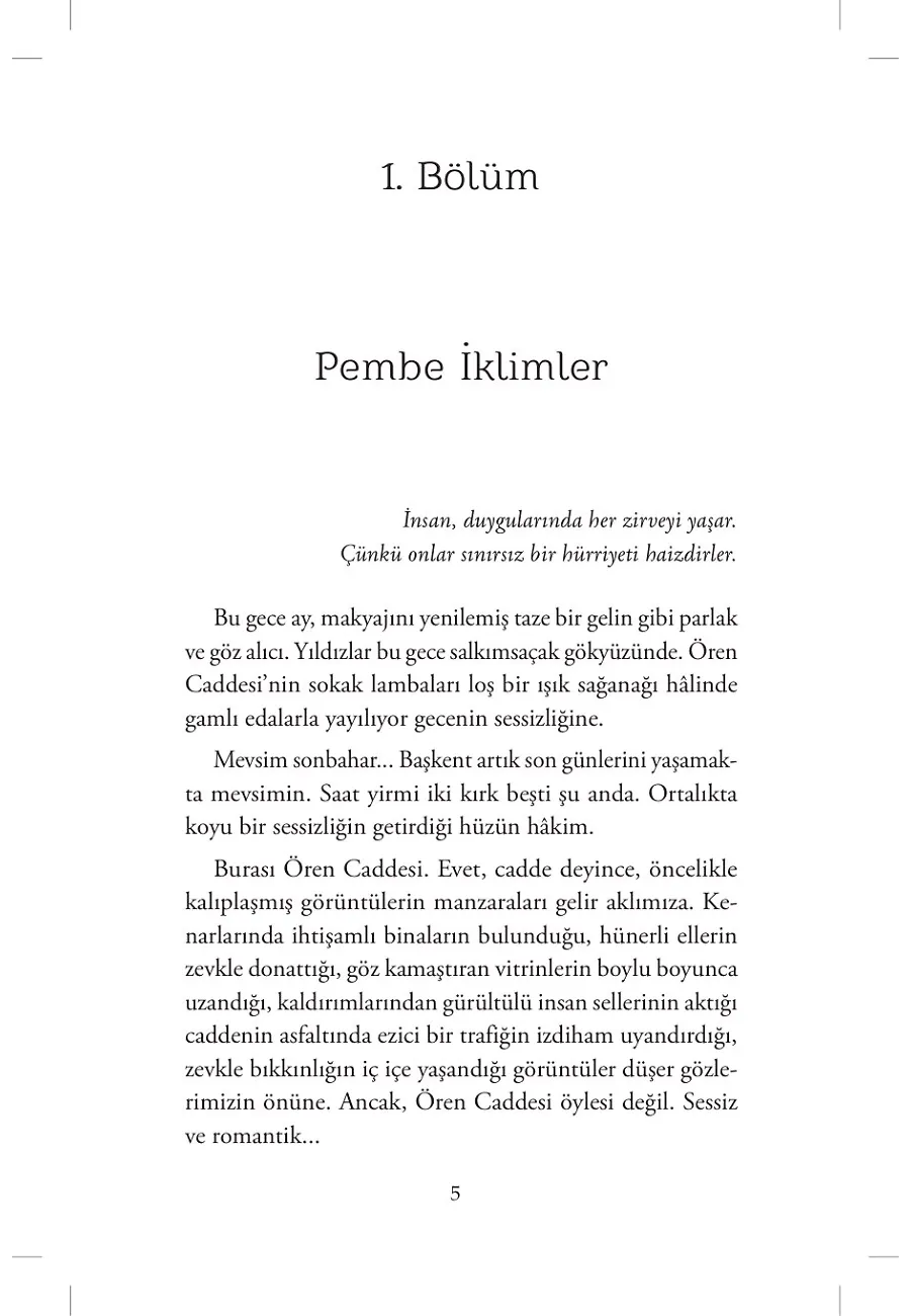 Sevdalar Sözde Kaldı – Sayfa 2