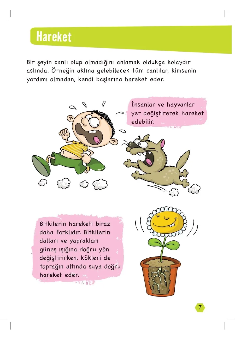 Ses Ve Işık Bir Gün Yarışmaya Karar Verseler - Popüler Fen – Sayfa 3