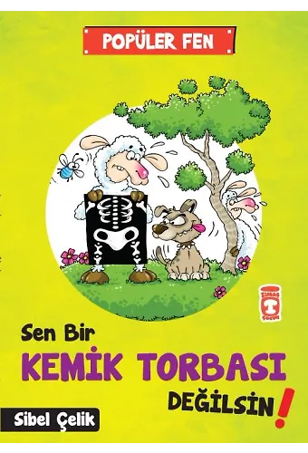 Sen Bir Kemik Torbası Değilsin! - Popüler Fen
